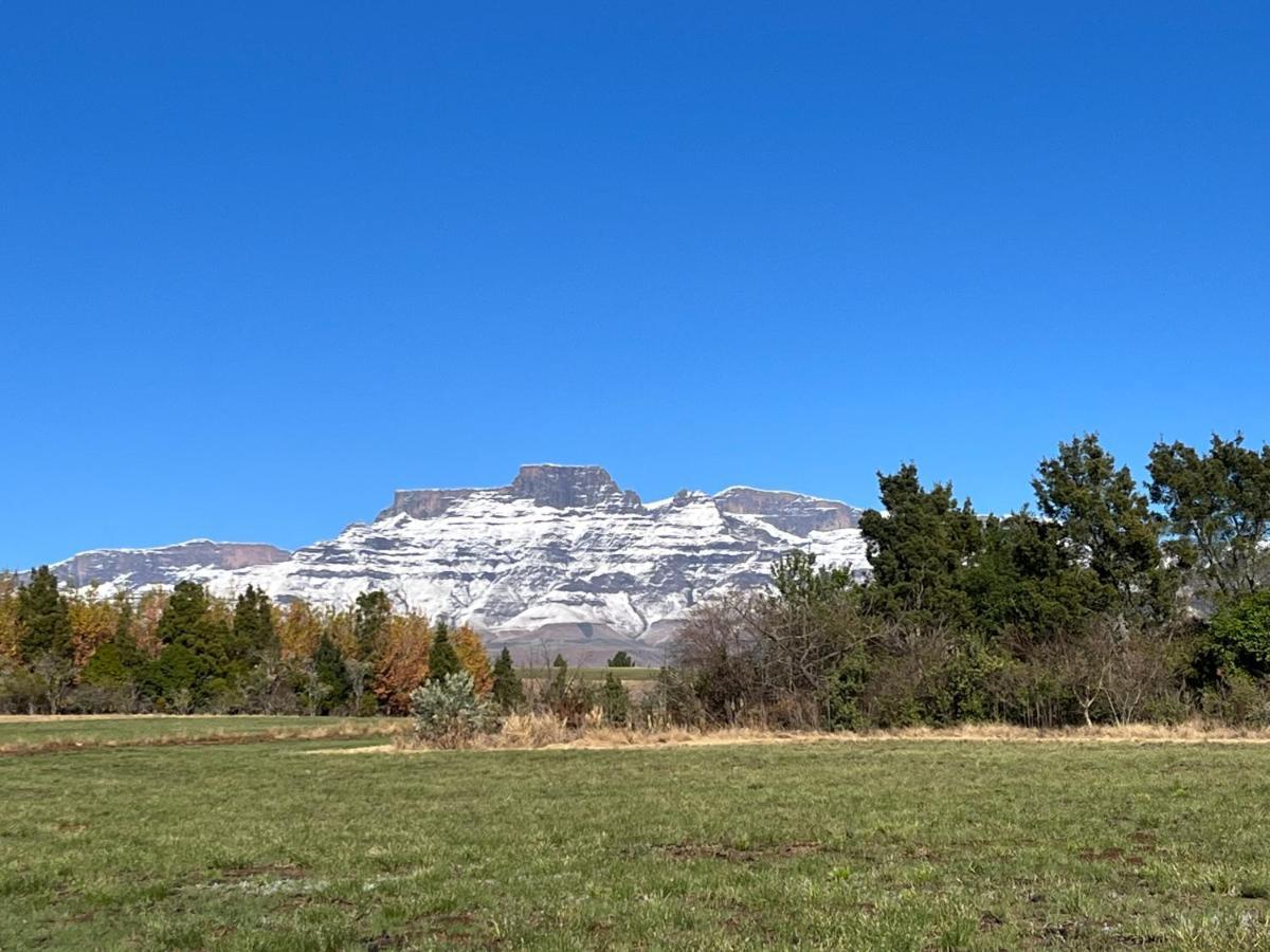 Inkosana Berg Lodge Champagne Valley Bagian luar foto