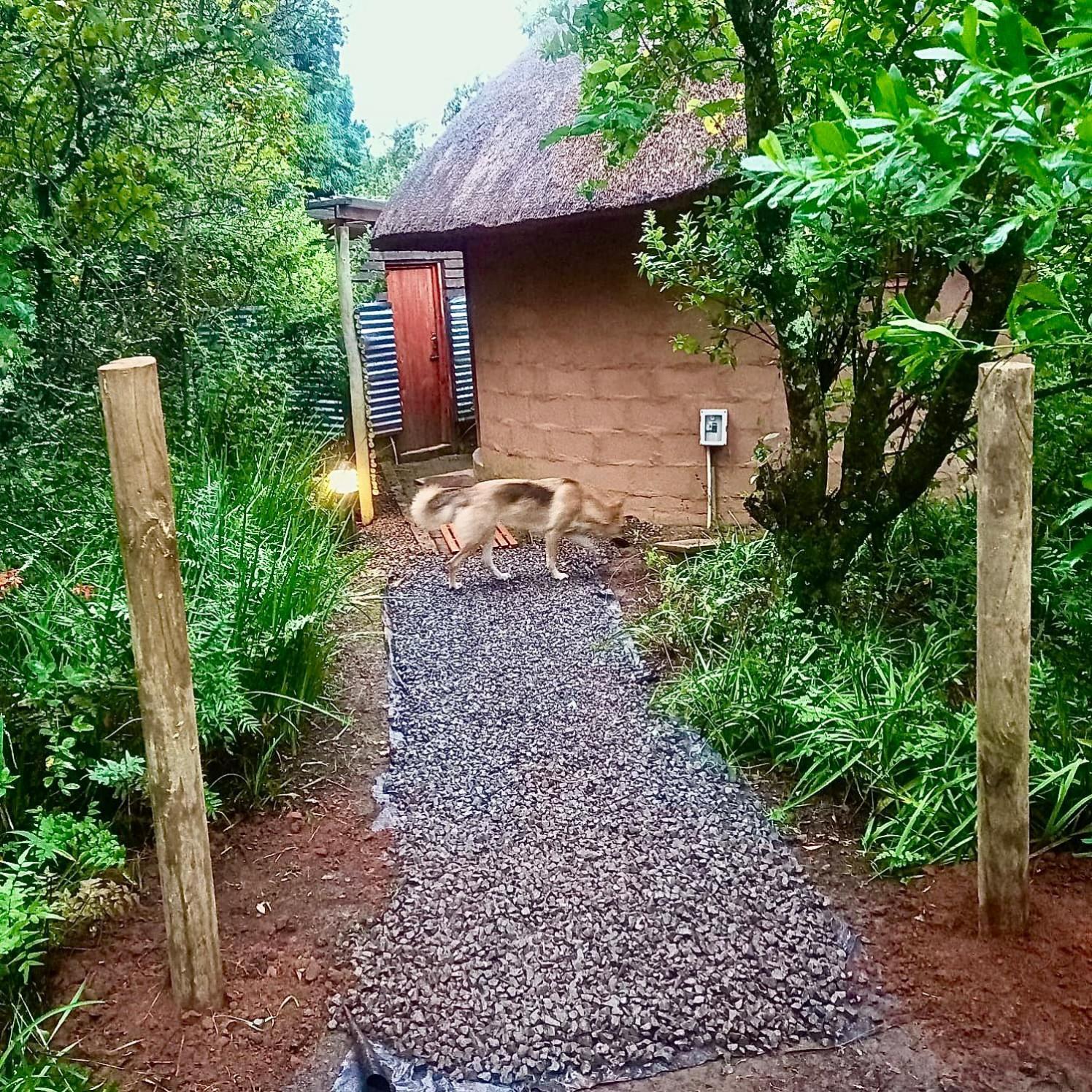 Inkosana Berg Lodge Champagne Valley Bagian luar foto