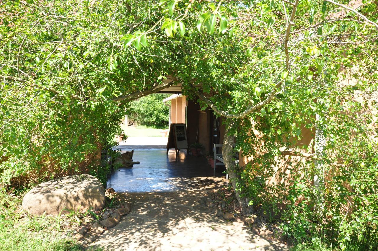 Inkosana Berg Lodge Champagne Valley Bagian luar foto