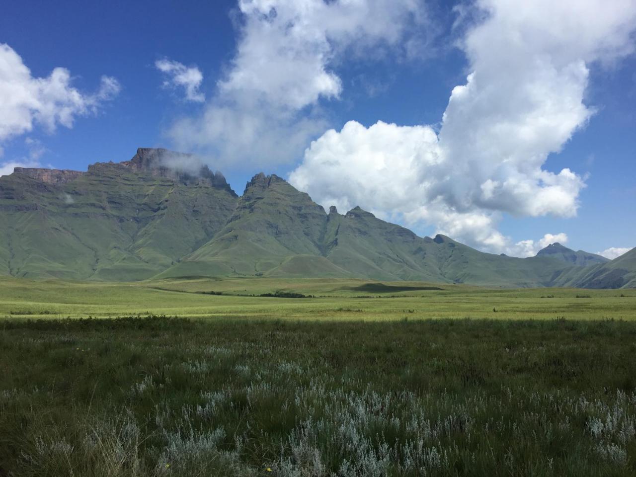 Inkosana Berg Lodge Champagne Valley Bagian luar foto